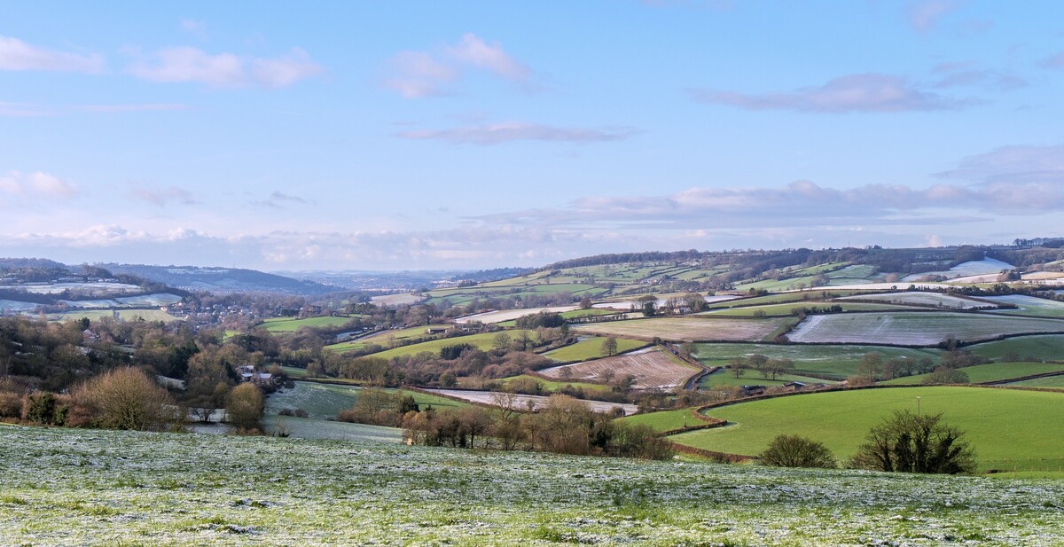 Frosty Fields